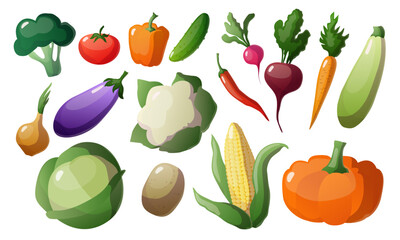 collection of vegetables, vector illustration