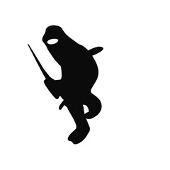 Ninja Fighter Silhouette 