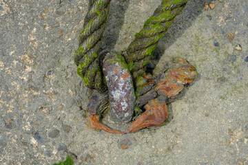 cordage recouvert d'algue dans un anneau rouillé