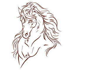 Fototapeta na wymiar horse head silhouette vector for card decoration illustration