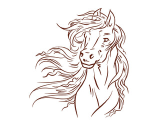 horse head illustration vector for illustration decoration background