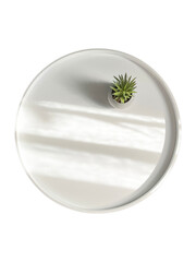 Minimal cozy counter design mockup for product presentation background for branding in Japanese style with white round podium including vase plant. Top view, transparent background, png