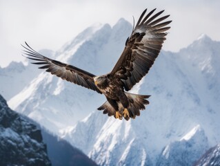 Fototapeta na wymiar A large bird flying over a snow covered mountain range. Generative AI image.