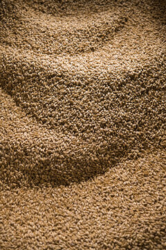 Malt grains at a brewery