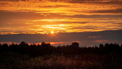 Defocused view of dry grass in a meadow in summer or autumn in the bright golden rays of the sun at sunset.