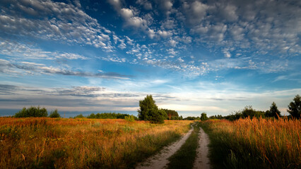 Rural road in green grass and orange summer sunset.