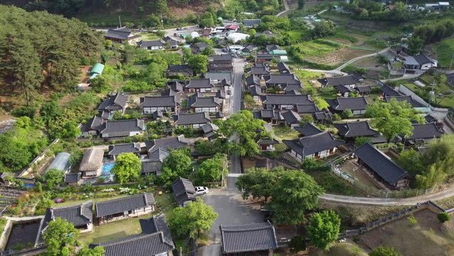 대구하빈 묘리전경