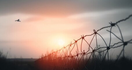 Obraz premium Barrier wire fence refugees Twilight sky, Generative AI