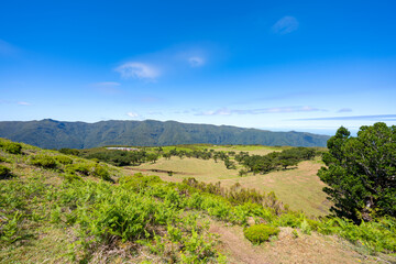 beautiful landscape in Madeira island