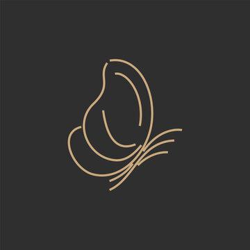 Butterfly  logo design vector illustration