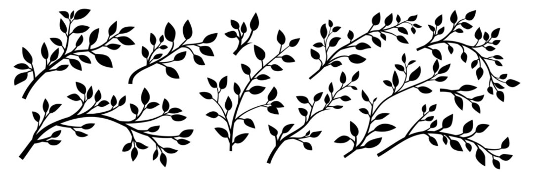 Tree Brunch Silhouettes Icon Set Isolated. Black and White Twig with Leaves Collection. Design Decorative Elements. Spring, Summer Leaves, Brunches, Plants, Leaves, Herbs. Vector Illustration