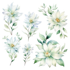 Fototapeta na wymiar Set of white bloom floral watecolor. flowers and leaves. Floral poster, invitation floral. Vector arrangements for greeting card or invitation design