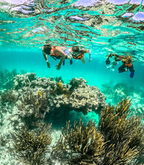 SNORKELING 2