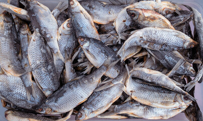 Fototapeta premium Lots of dried fish. Salty, dry river fish in a big pile. View from the top. Delicious dried fish Peipus roach