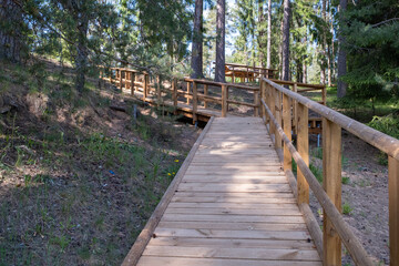 Wooden walking path in the forest. A newly constructed wooden trail for tourists.