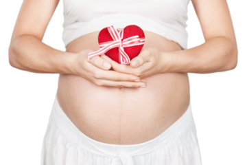 Pregnant mother showing her belly and holding a mini heart