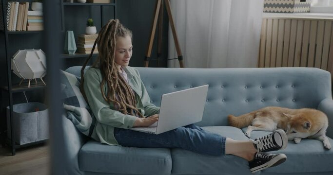 Slow motion of young woman freelancer working with laptop sitting on couch with cute shiba inu dog. Freelance work and pets concept.