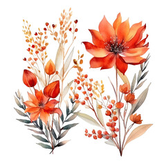 Set of floral watecolor orange and red. flowers and leaves. Floral poster, invitation floral. Vector arrangements for greeting card or invitation design