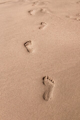 Footprints on the tropical beach in evening time.