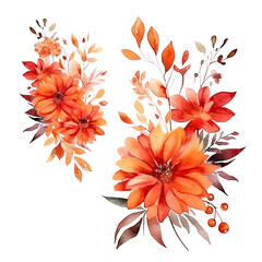 Set of floral watecolor orange and red. flowers and leaves. Floral poster, invitation floral. Vector arrangements for greeting card or invitation design
