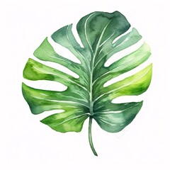 Monstera leave watercolor painting vector for cards, wedding invitation and birthday cards. Generative Ai.