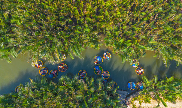 Aerial view of a coconut village basket boat tour. Palms forest in Hoi An, Cam Thanh, Vietnam. Tourists having an excursion and fun in Thu Bon river