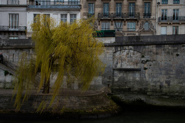 Fototapeta premium the bridge
