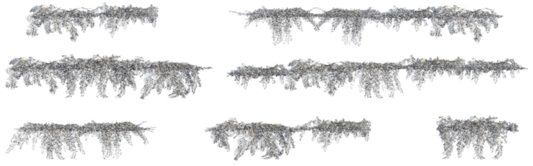 climber plants, creeper plants, 3D rendering with transparent background, for illustration, digital composition, architecture visualization