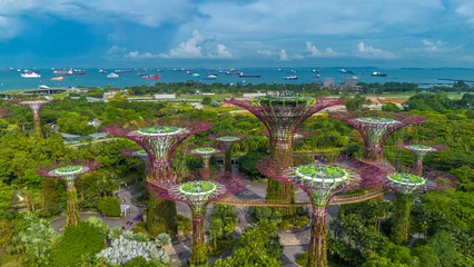 Poster Aerial view of landscape of Gardens by the Bay in Singapore. Botanical garden with artificial trees and harbor in horizon © Audrius