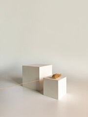 White pedestal podium set and shadow overlay. Minimal scene for product display presentation. Geometric platform with dry flowers. Stage for showcase.