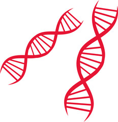 human dna chromosome genome