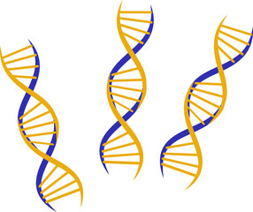 human dna chromosome genome