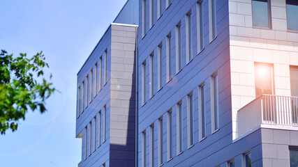 Fototapeta premium Eco architecture. Details of facade glass and aluminum panels on building. Green tree and modern office building. The harmony of nature and modernity. 
