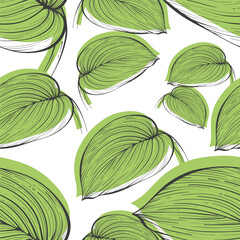 Vector seamless pattern with many hand drawn large tropical leaves on white background. Decorative art element for packaging, banner layout design. Bright trendy summer concept. Floral linear sketch.