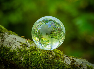 glass earth globe in the forest