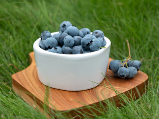 Ceramic bowl full of ripe blueberries on the grass, selective focus. Concept of picnic, breakfast outdoors