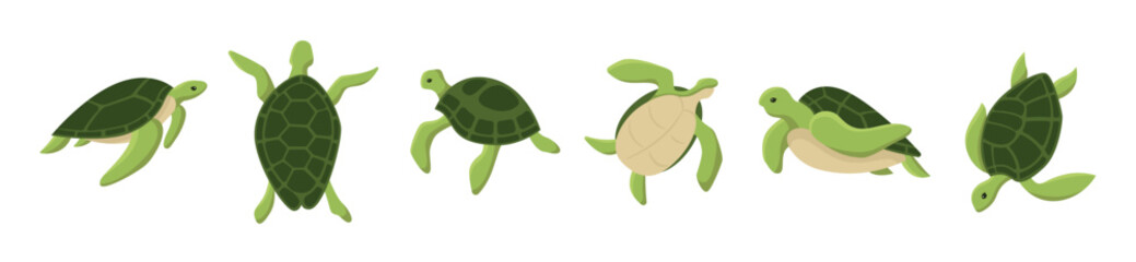 Set of big sea turtle cartoon cute animal design ocean tortoise swimming in water. Flat hand drawn sketch vector illustration isolated on white background