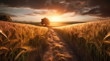 A wheat field at sunset. Generative ai