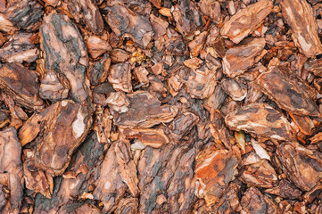 Background, texture of pieces of brown wet after rain coniferous, spruce bark. Photography of nature.