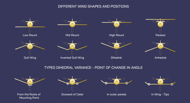 Airplane wings and positions vector illustration. Some important wing types. Types of aircrafts.  Types of wings. Chord variations along span. Delta wings, wing sweep, other types of aircrafts. 