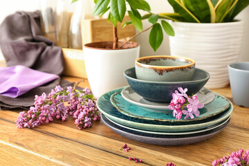 Lilac twig with plates and plants on kitchen counter