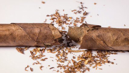 smoking tobacco is harmful to health