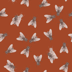 Seamless terracota pattern with flies