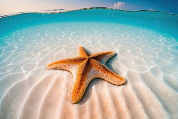 Fototapeta na wymiar Summer beach with starfish in sea water. Summer setting. Its summertime. Generative AI