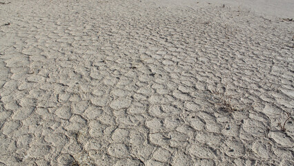 Fototapeta na wymiar Dry Cracked Desert Ground
