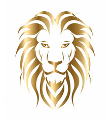 Obraz premium lion head vector