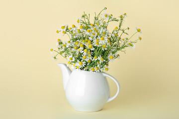 Teapot with fresh chamomile flowers on color background