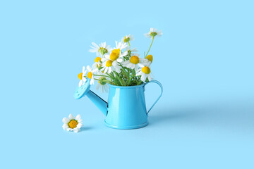 Small watering can with fresh chamomile flowers on color background