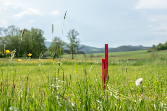 staking out a stake on a building plot before the start of construction, a stake of red color on a meadow where an excavator will come and dig the foundations of a house, wooden buildings
