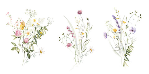 Wild field herbs flowers plants. Watercolor bouquet collection - illustration with green leaves, branches and colorful buds. Wedding stationery, wallpapers, fashion, backgrounds, prints. Wildflowers. - 608423903